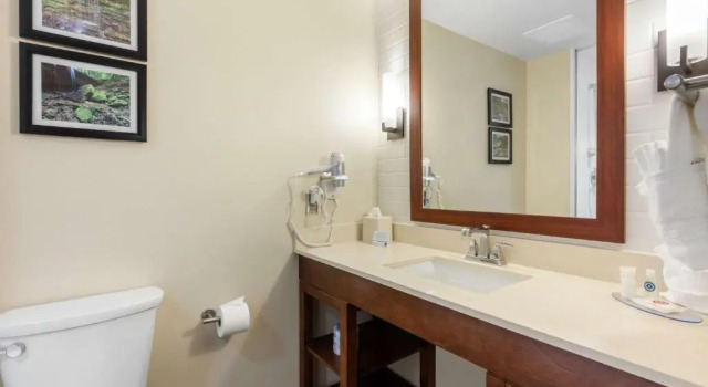 Люкс Comfort Inn & Suites At CrossPlex Village