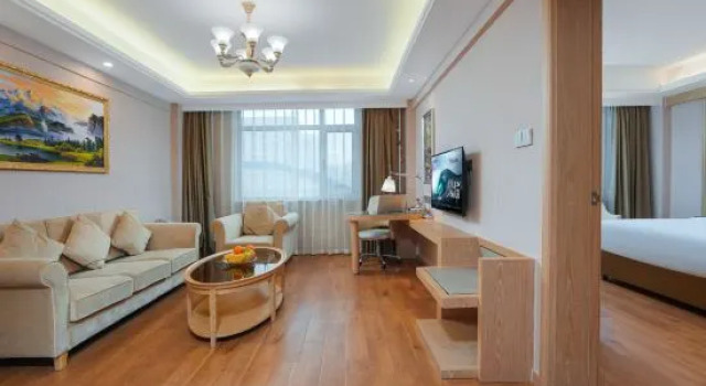Люкс Deluxe Vienna International Hotel (Beijing Qingyuan Road Metro Station)