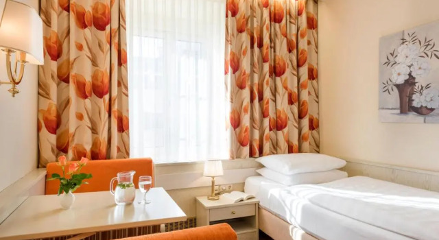 Одноместный номер Standard Hotel Scherer