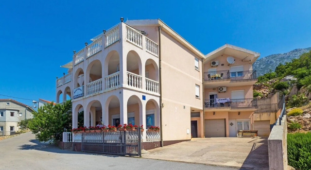 Delfin Cesarica in Cesarica