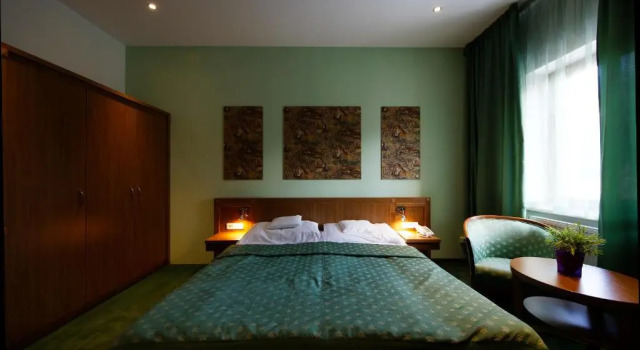 Номер Standard Hotel Max Inn