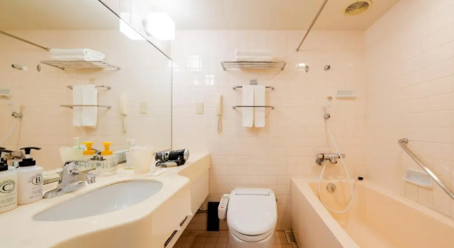 Трёхместный номер Standard Sapporo View Hotel Odori Park