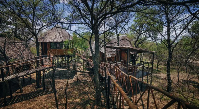 Двухместный номер Standard Pezulu Tree House Lodge