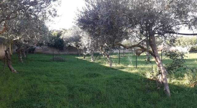 Вилла Villa singola a 1300 mt dal mare