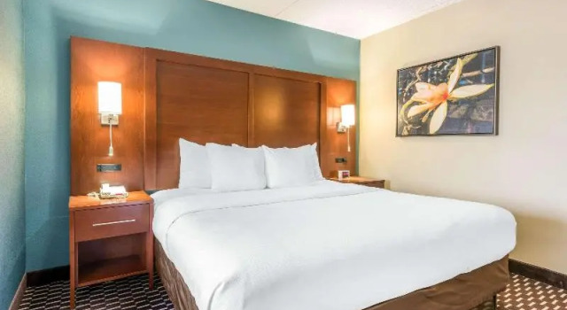 Номер Standard Spark By Hilton St. Augustine Historic District