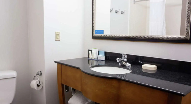 Люкс Hampton Inn & Suites Chesapeake-Square Mall