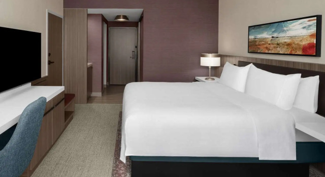Номер Standard Hilton Garden Inn Grand Prairie At EpicCentral