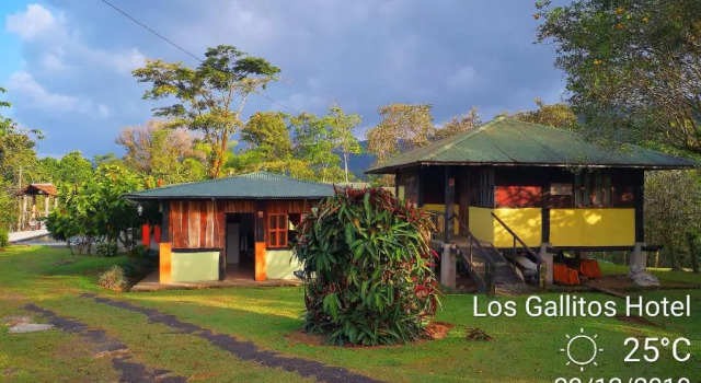 Семейный номер Standard с видом на сад Los Gallitos Eco Lodge