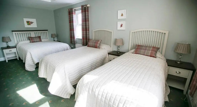 Номер Standard Moloney House