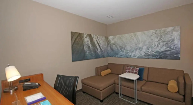 Студия SpringHill Suites by Marriott Charleston N./Ashley Phosphate