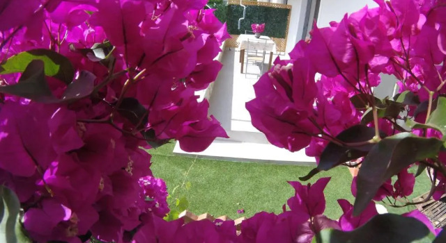 Апартаменты Riviera Rooms