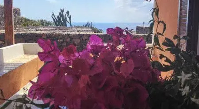 casale Don Stefano, Prenota Appartamento Pantelleria Isola di Pantelleria