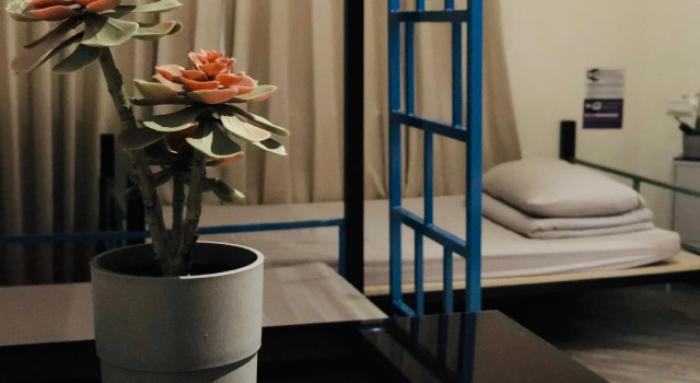 Кровать в общем номере 旅悅 國際青年旅館 DreamWell Hostel