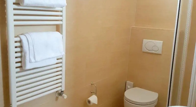Одноместный номер Comfort Hotel Biasutti
