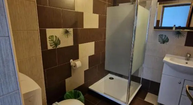 Двухместный номер Standard Hotel Marasesti