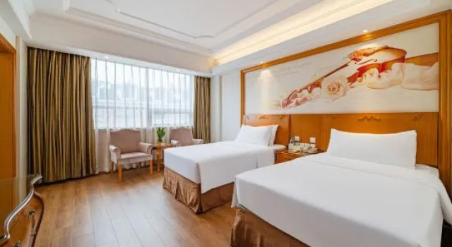 Люкс Wuyi Mountain Vienna International Hotel (Sangu Holiday Zone Impression Dahongpao Branch)