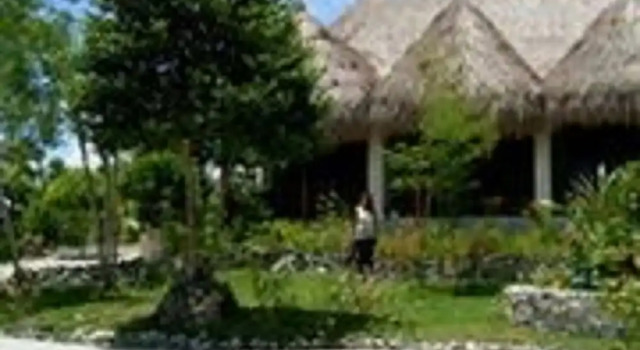 Номер Standard с балконом Sea Turtle House Moalboal