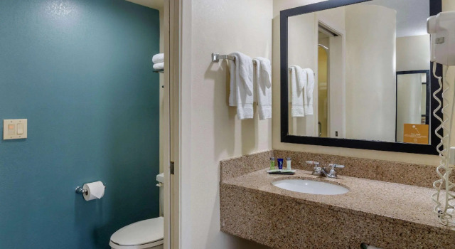 Двухместный номер Standard Comfort Inn Marietta-Atlanta near Ballpark-Galleria