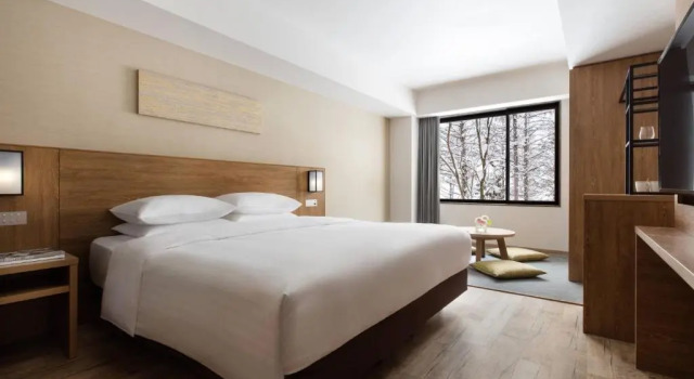 Двухместный номер Premium with Hot Spring Bath Courtyard by Marriott Hakuba