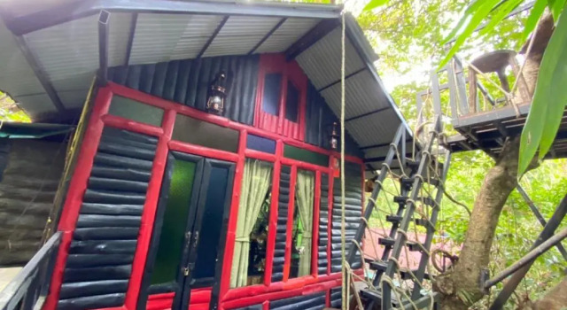 Люкс Khao Sok Tree House Resort