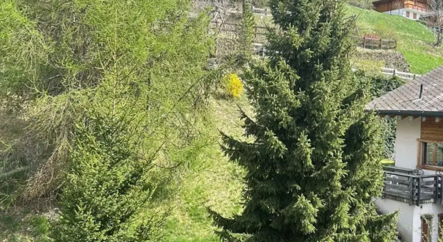 Spacious Apartment With Balcony, Prenota Appartamento Hotel a Canton Vallese con parcheggio, Parcheggio