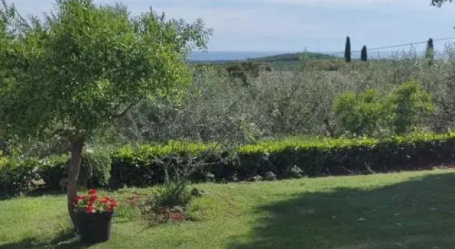 Apartment Matteo, Забронировать Апартаменты/квартира Апартаменты Rovinj Riviera, Апартаменты/квартира