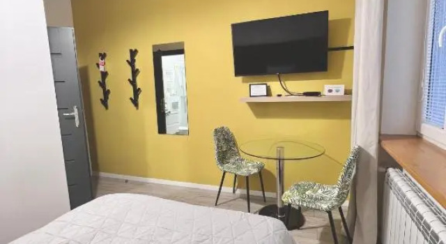 Одноместный номер Standard Pokoje i Apartamenty Willa Bielany