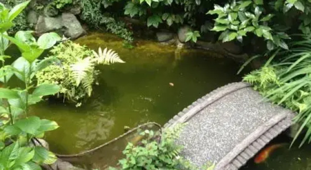 Ryokan Maizuru, Забронировать Отель Токио Токийский столичный округ, рядом с Niji Park