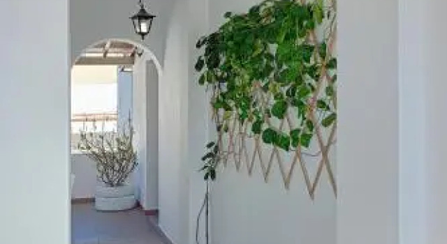 Aparthotel 3 Stars Finikas