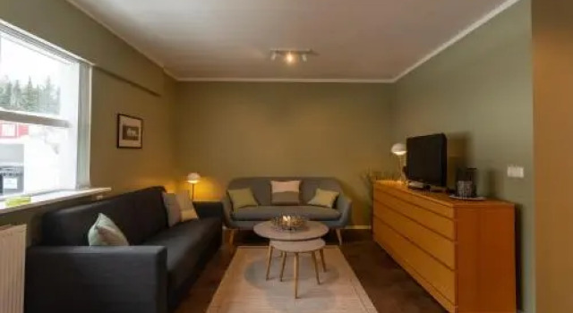 Old Town Modern Apartment