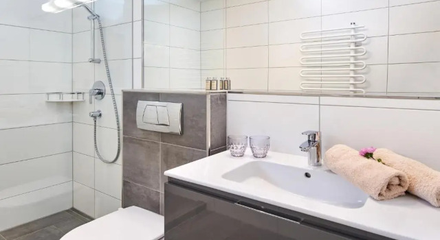 Номер Classic Aparthotel Jägerheim