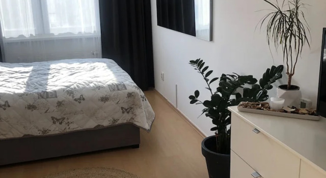 Семейные апартаменты c 1 комнатой с балконом Richie Apartment near Aquapark