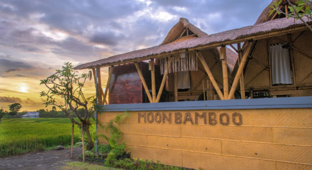 Moon Bamboo