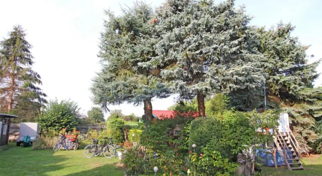 Коттедж Ferienhaus Zinnowitz USE 3471