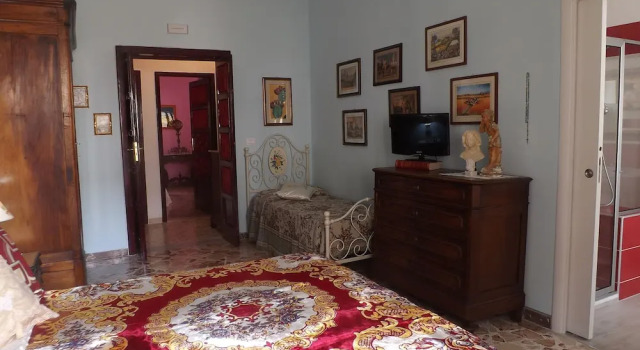 Dragonfly Rooms