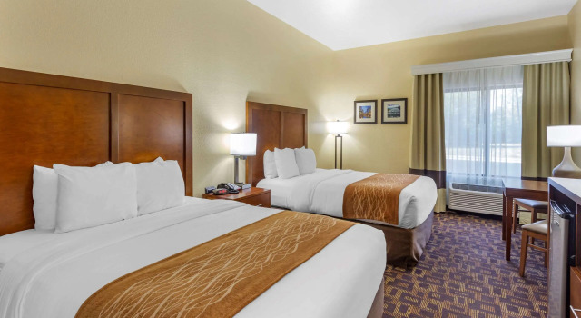 Четырёхместный номер Standard Comfort Inn & Suites
