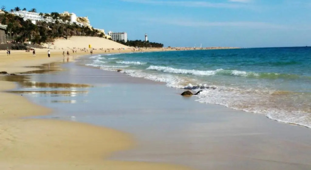 Апартаменты Apartment Near the Beach, big Terrace With Nice sea Views, Wifi and Parking