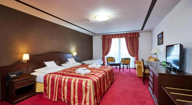Двухместный номер Superior Hotel Zur Burg