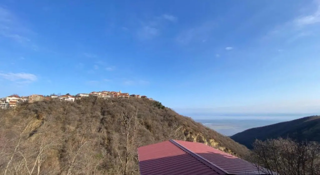 Апартаменты Гостевой дом У Лии