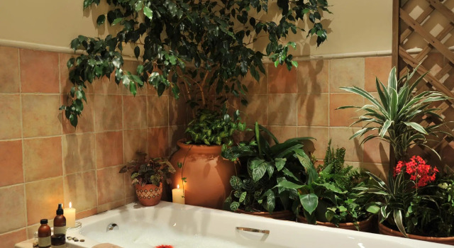 Двухместный номер Deluxe Claires of Sandton Luxury Guest House