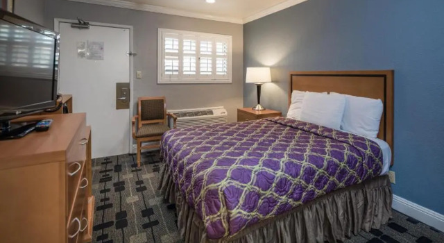 Двухместный номер Standard SOMA Park Inn