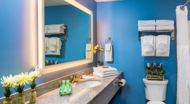 Номер Superior Country Cascades Waterpark Resort