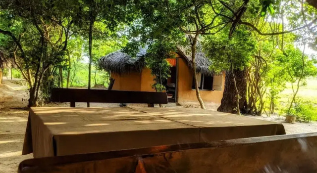 Yala Jungle Haven