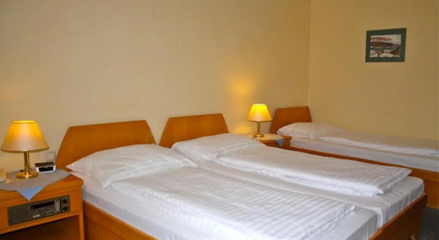 Habitación triple Estándar Hotel am Schottenpoint
