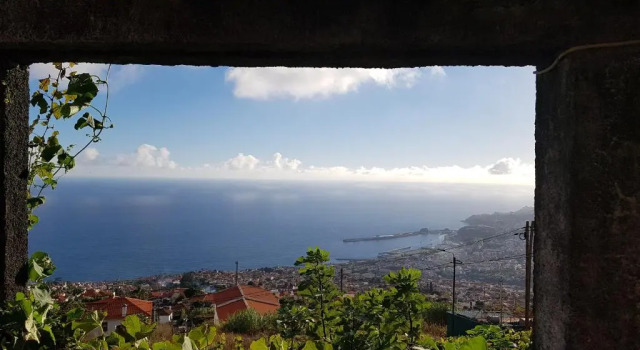 Апартаменты City View Gardens