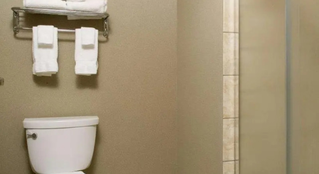 Одноместный люкс c 1 комнатой Homewood Suites by Hilton Bloomington