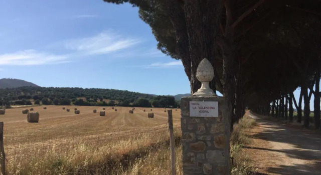 Апартаменты c 1 комнатой Agriturismo La Valentina Nuova