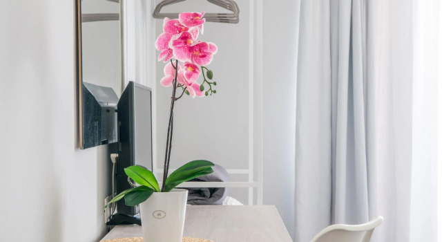 Четырёхместный номер Standard Myrto Hotel