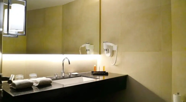 Deluxe Twin room The Luxton Bandung