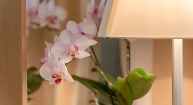 Двухместный номер Standard la pura women's health resort kamptal (отель для женщин)